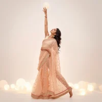 Saree Prompts